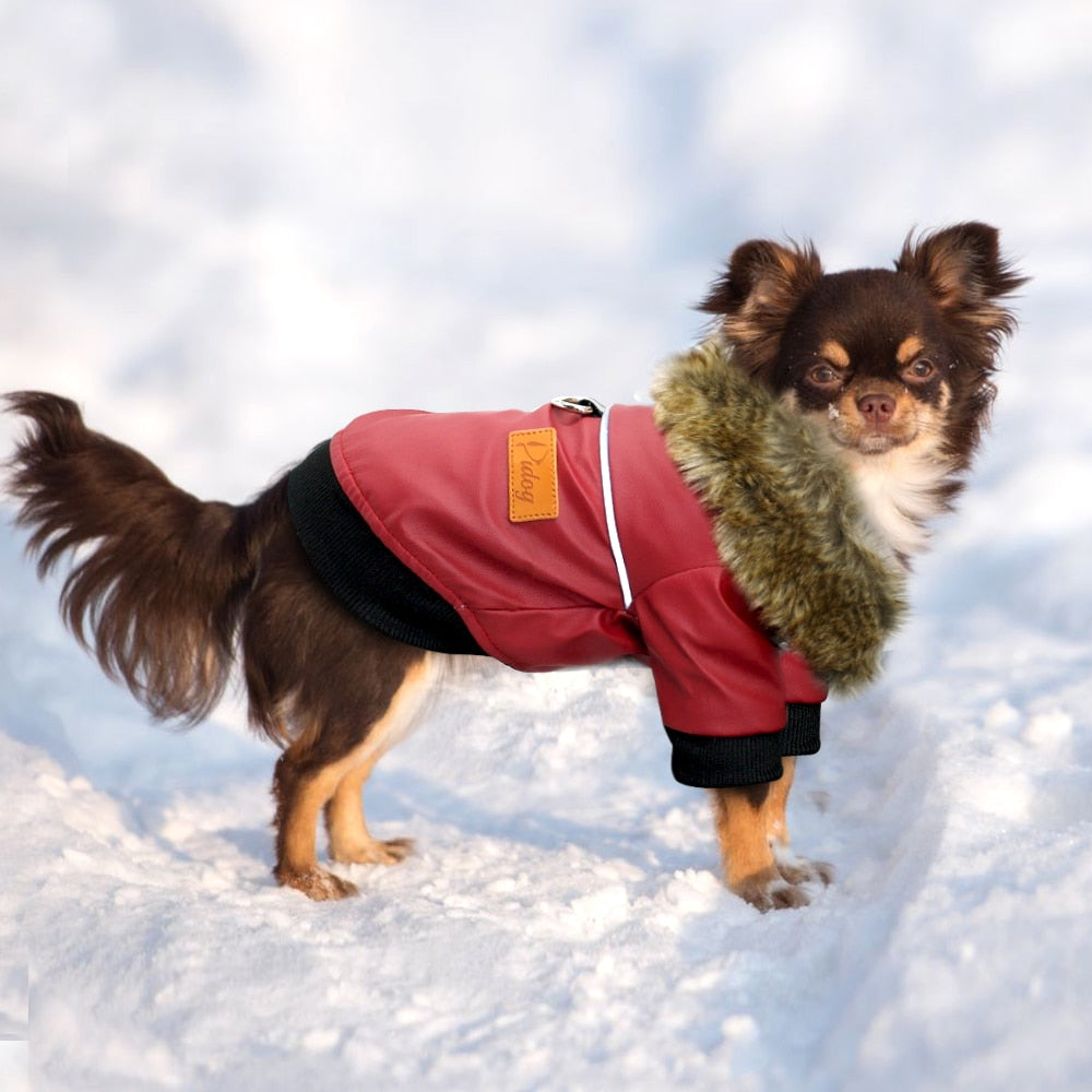 Water-Resistant Faux Leather Canine Jacket with Faux Fur Collar