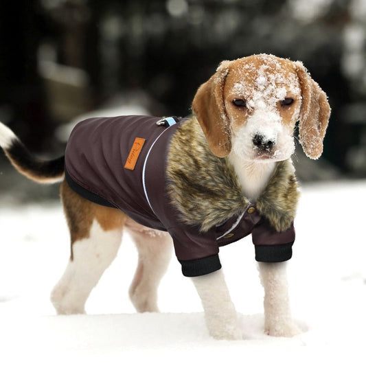 Water-Resistant Faux Leather Canine Jacket with Faux Fur Collar