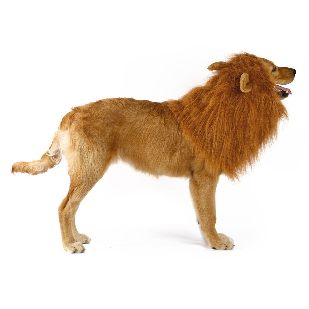 Lion Mane Canine Hairpiece