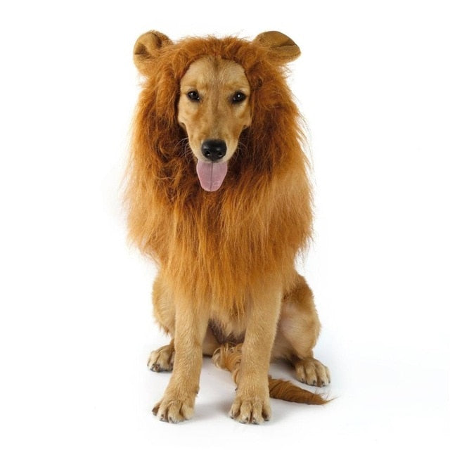 Lion Mane Canine Hairpiece
