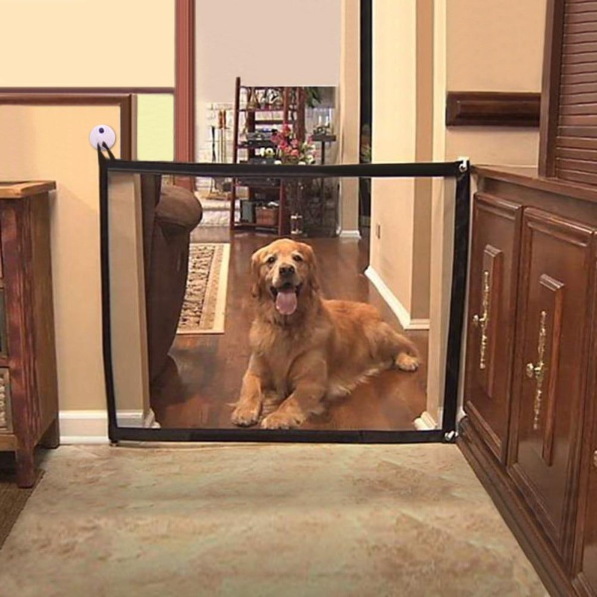 Mesh Pet Gate: Enhance Pet Safety in Style