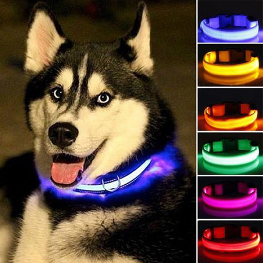 5-Piece Set of Illuminated Nylon Dog Collars