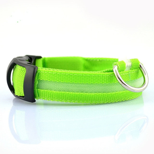 Nylon LED Dog Collar Set of 2