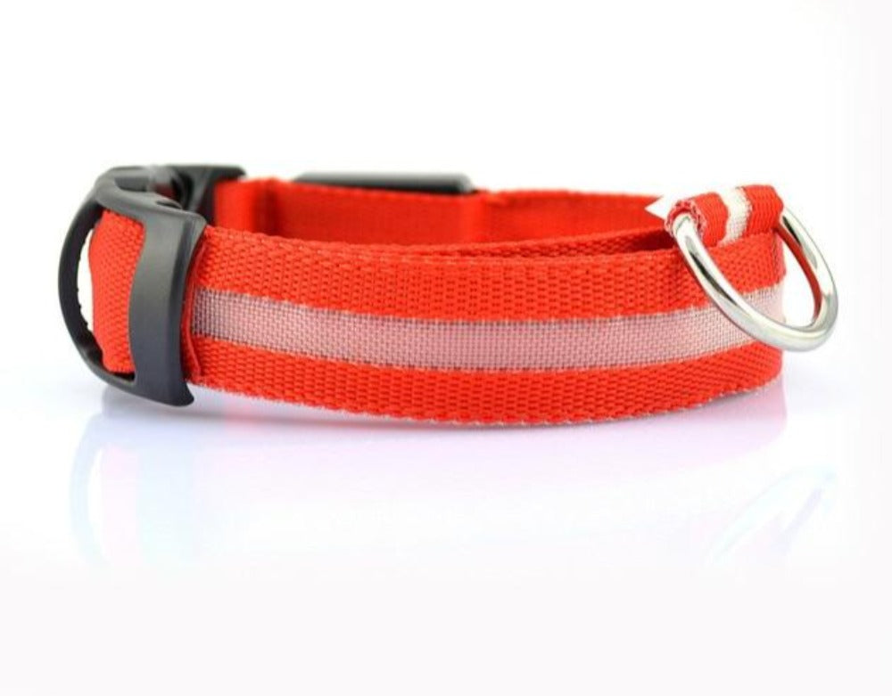 5-Piece Set of Illuminated Nylon Dog Collars