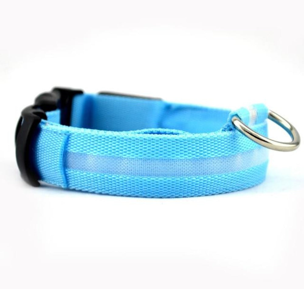 5-Piece Set of Illuminated Nylon Dog Collars