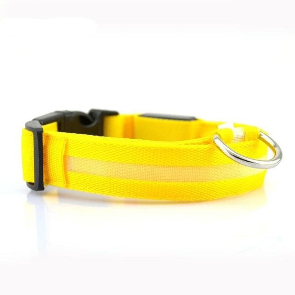 5-Piece Set of Illuminated Nylon Dog Collars