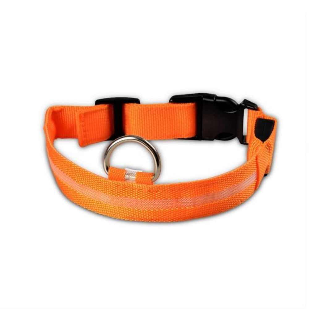 5-Piece Set of Illuminated Nylon Dog Collars