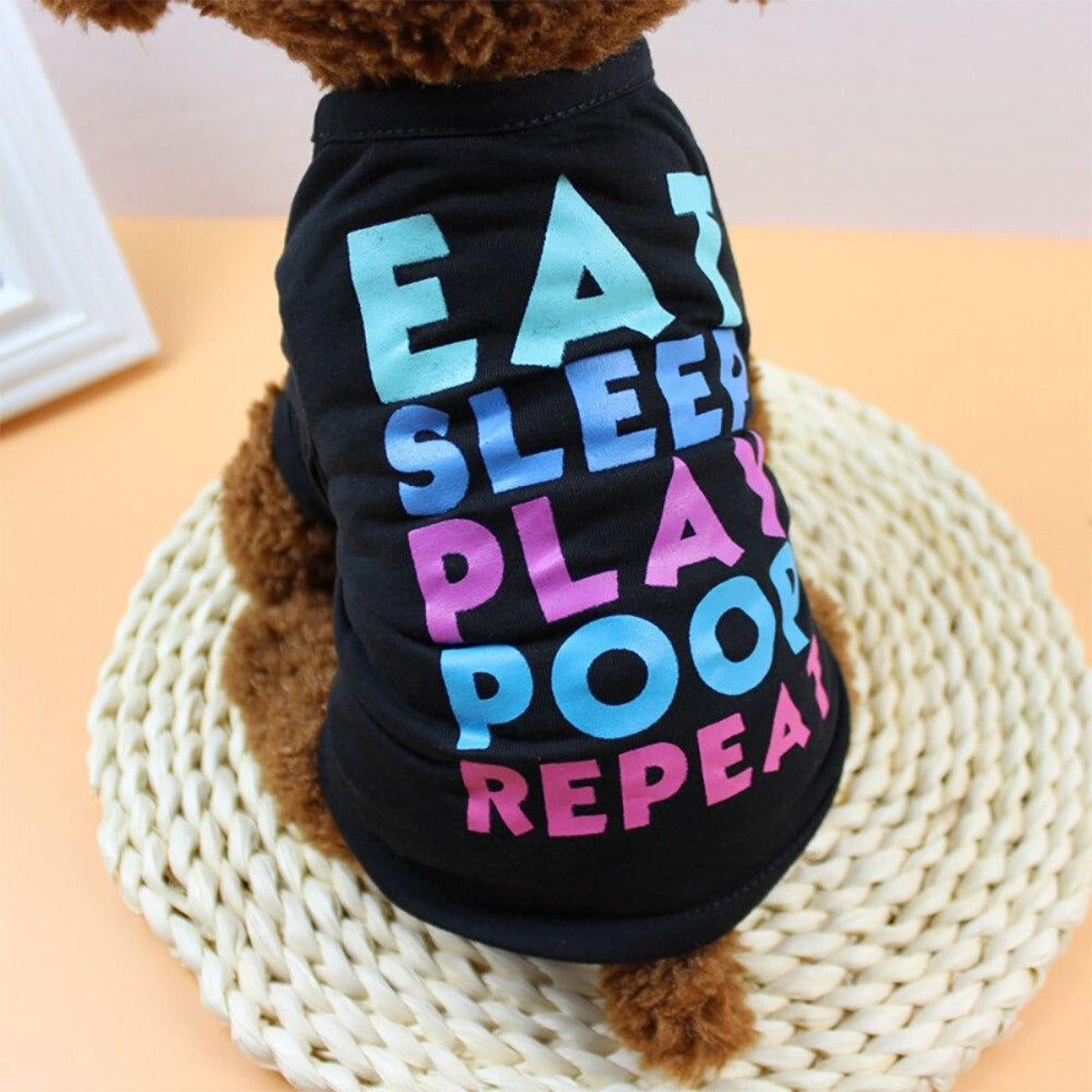 Summer Shirt for Puppies and Kittens