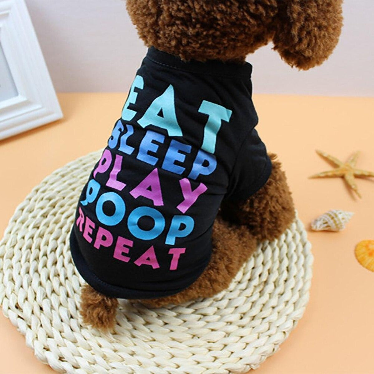Summer Shirt for Puppies and Kittens