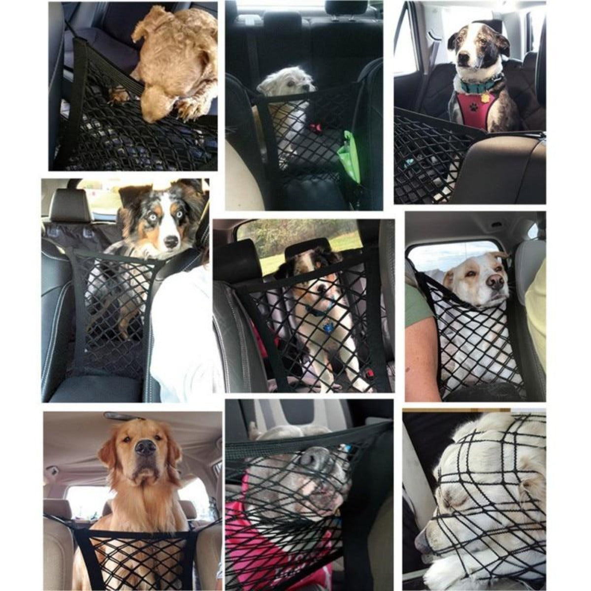 Car Pet Net Petitioner