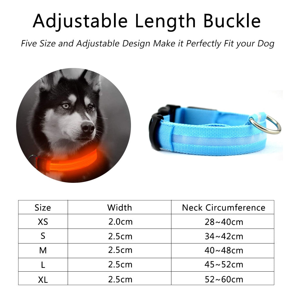 5-Piece Set of Illuminated Nylon Dog Collars