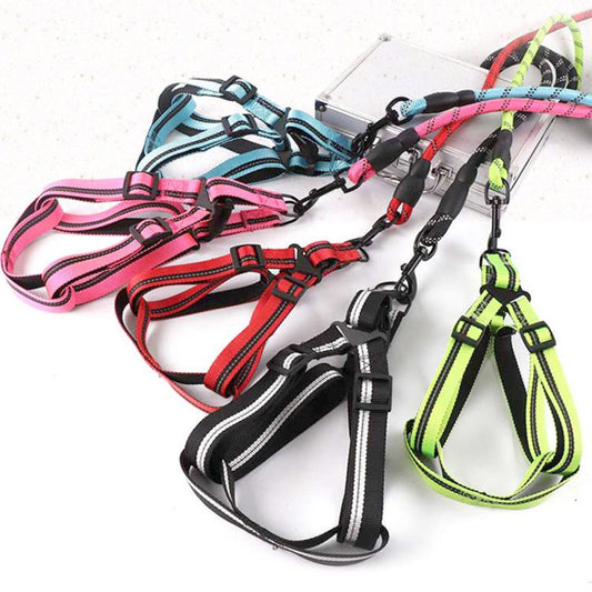 Padded Handle Comfort Dog Leash for Maximum Comfort