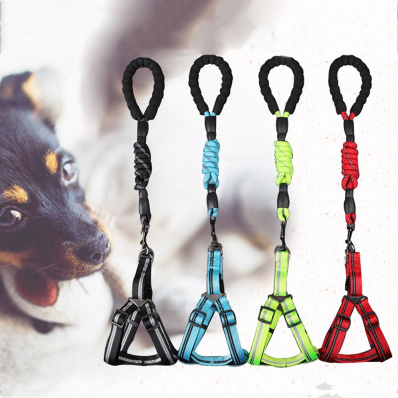 Padded Handle Comfort Dog Leash for Maximum Comfort