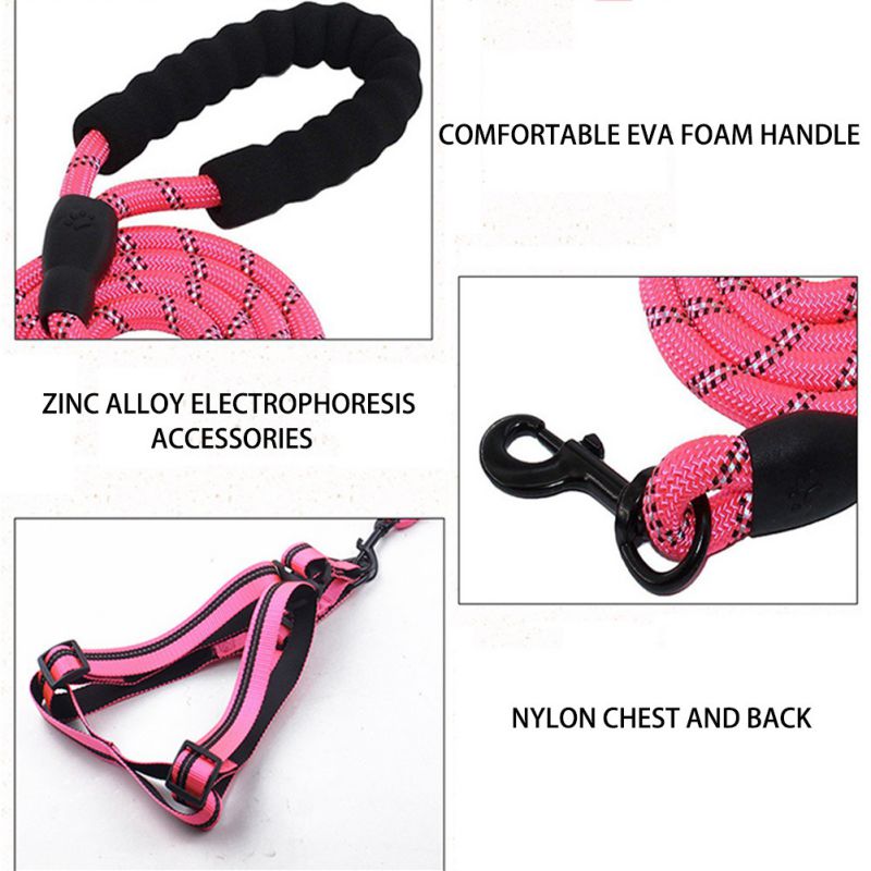 Padded Handle Comfort Dog Leash for Maximum Comfort