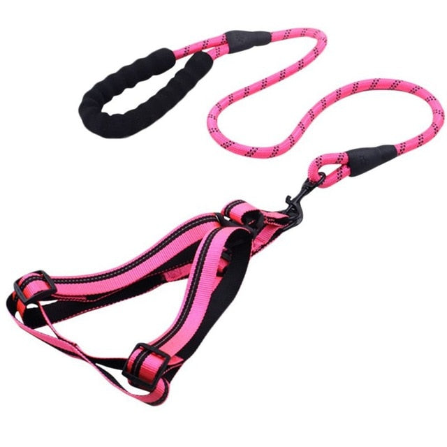 Padded Handle Comfort Dog Leash for Maximum Comfort