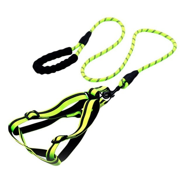 Padded Handle Comfort Dog Leash for Maximum Comfort