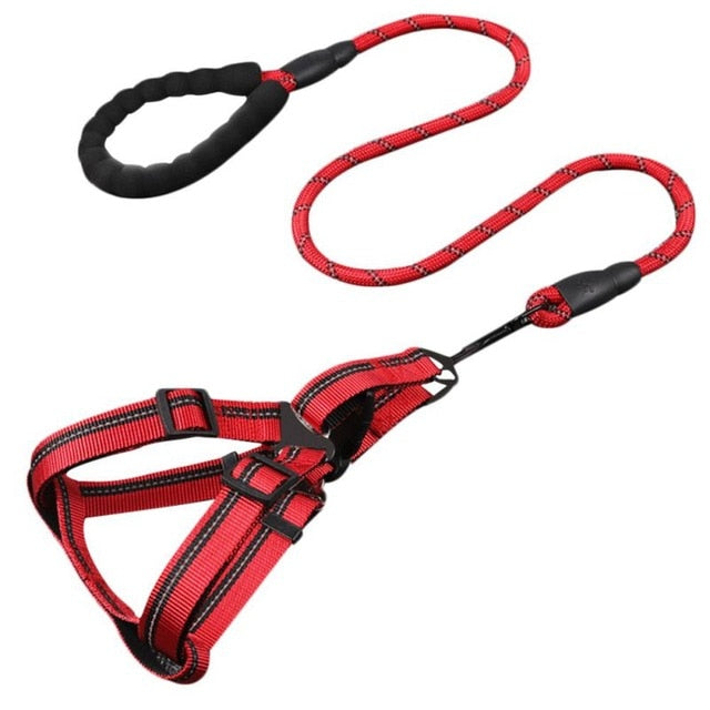 Padded Handle Comfort Dog Leash for Maximum Comfort