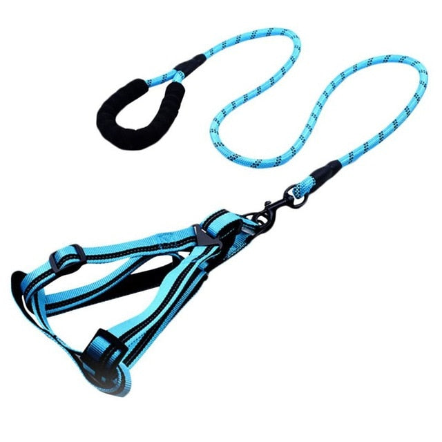 Padded Handle Comfort Dog Leash for Maximum Comfort