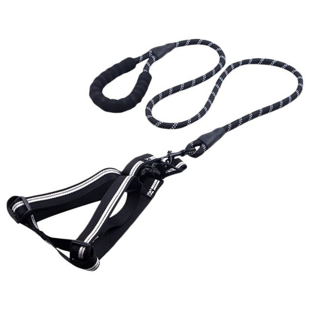 Padded Handle Comfort Dog Leash for Maximum Comfort