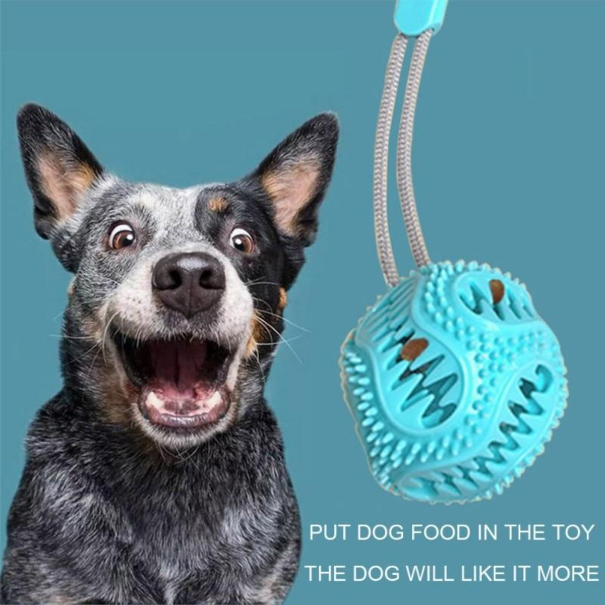 Suction Cup Dog Chew Toy