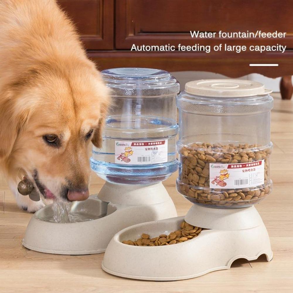 3.75L Pet Water Dispenser with Automatic Functionality