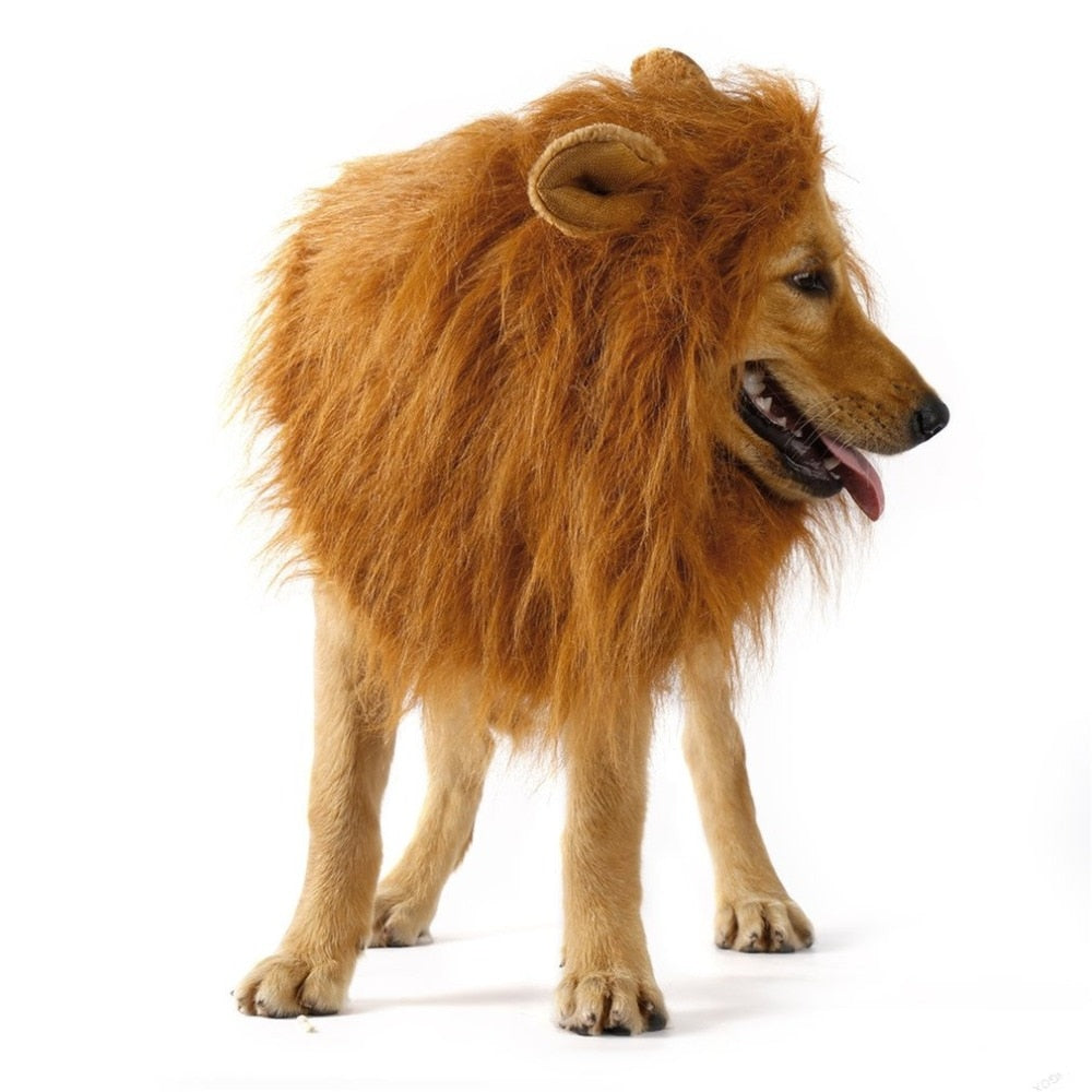 Lion Mane Canine Hairpiece