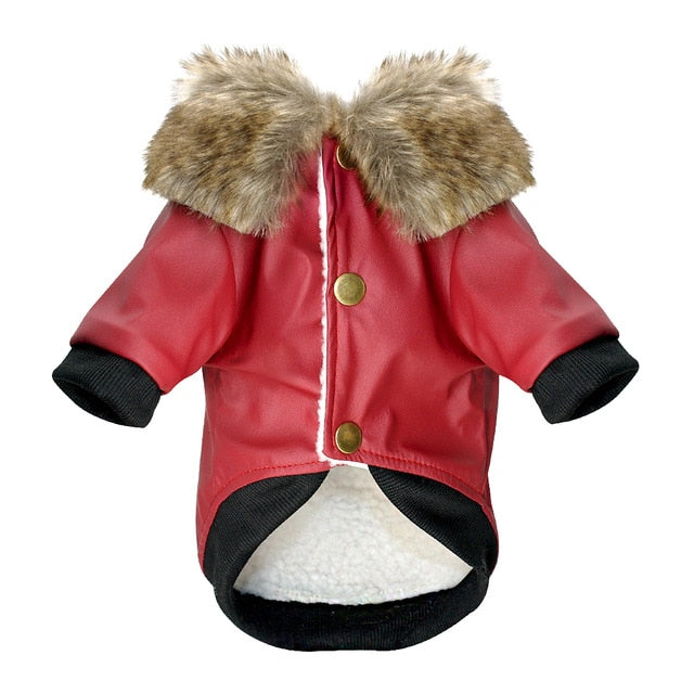 Water-Resistant Faux Leather Canine Jacket with Faux Fur Collar