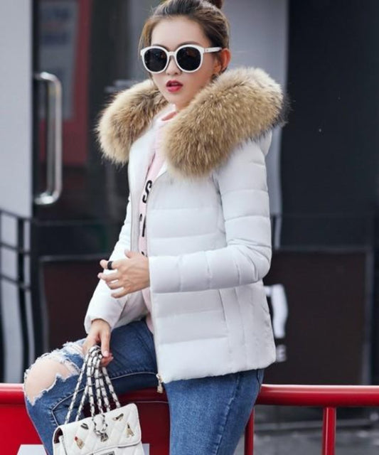 White Slim Fit Winter Hooded Short Zip-Up Jacket for Women