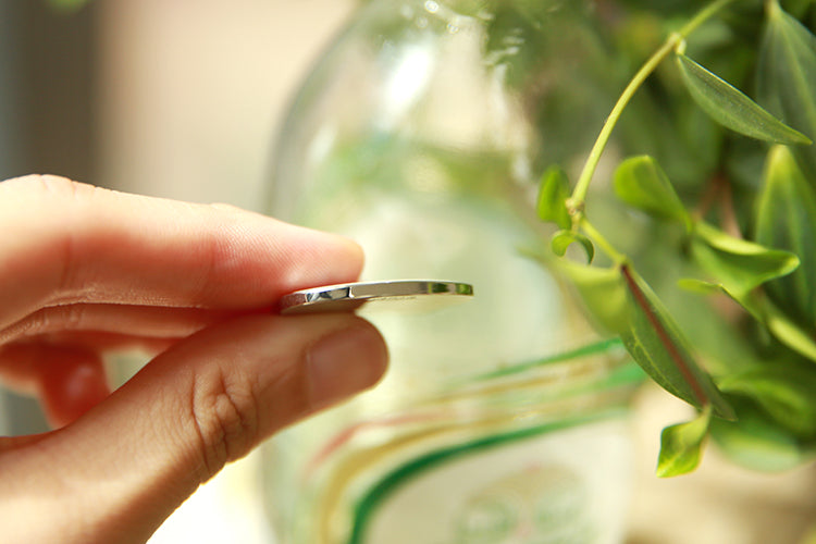 Engraved Cat ID Tags with Free Engraving