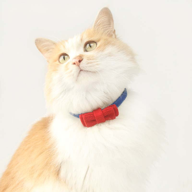 Cute Breakaway Pet Collars with Bowties
