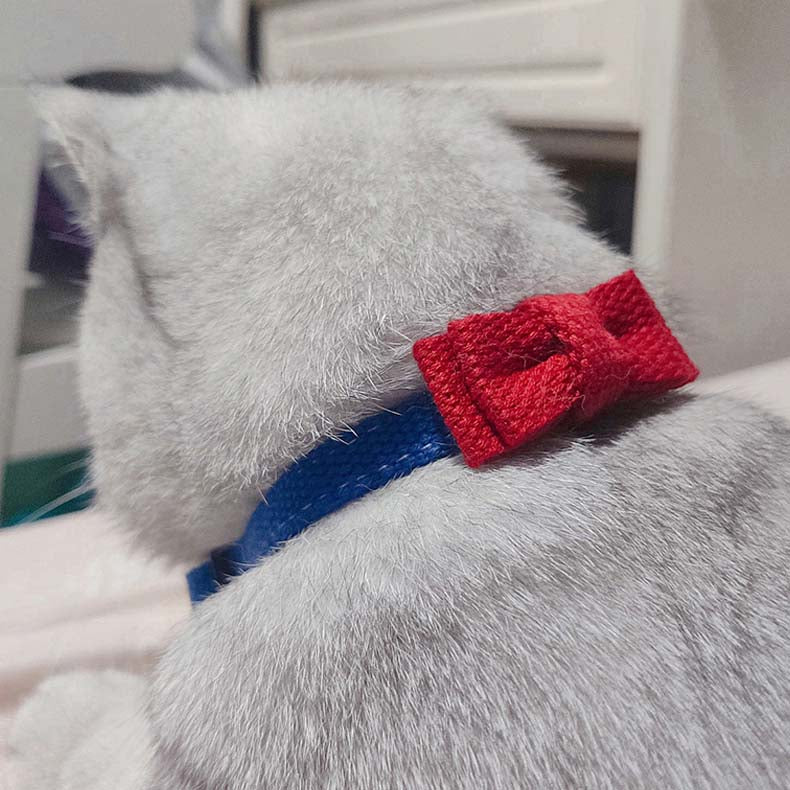 Cute Breakaway Pet Collars with Bowties